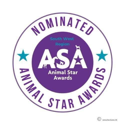 Certification Logo 4