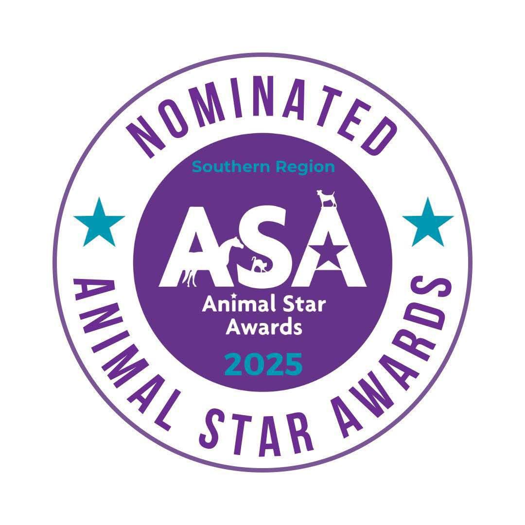 Certification Logo 7