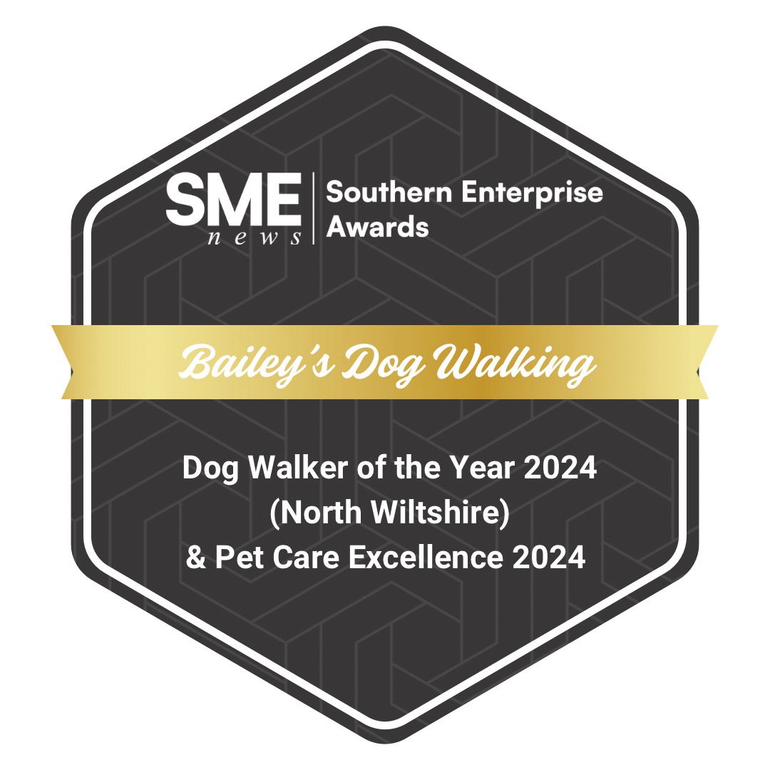 Certification Logo 6